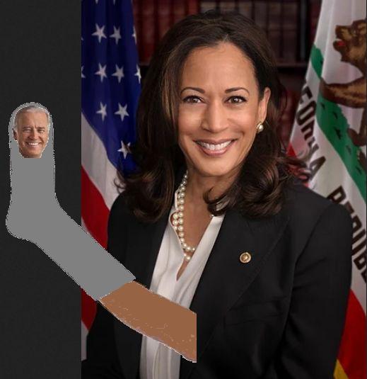 Harris and her sock-puppet Biden have some interesting plans for us. They'll call it Equality Utopia. We'll know it as They Win, We Lose. A few liberal elites get wealthy and powerful while we get poor and oppressed