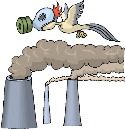 Air pollution makes bird wear gas mask