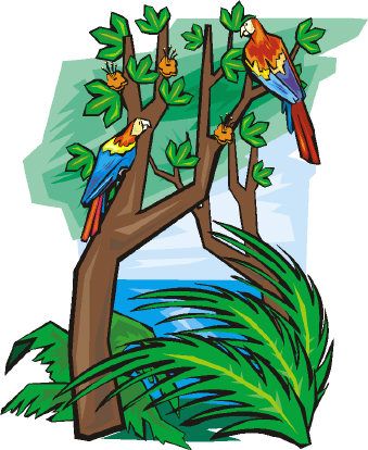 Jamail embarks on a journey to the geographical front lines of this crisis�from Alaska to Australia�s Great Barrier Reef, via the Amazon rainforest