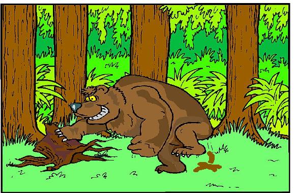 Bears poop in the woods