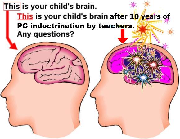 PC is a virus that is killing common sense in the West