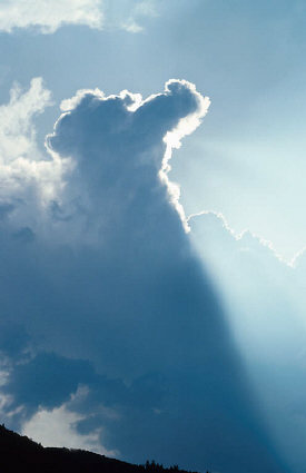 The cloud of corruption of sciences by ideologies has a bit of a silver lining