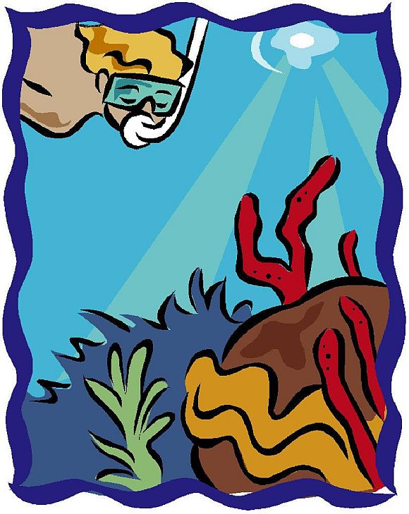 We are told that all the coral reefs will die by 2100 from overheating when in fact the most diverse coral reefs are found in the warmest oceans in the world