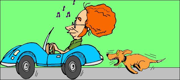 What happens when the dog chasing the car actually catches it? The dog experiences just how painfully unsatisfying it is to chew tires or bite bumpers. It is time to rename the Democrats with the name Dumbocrats!