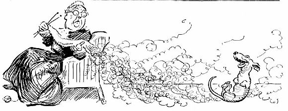 This dog has gotten so many treats as roll-over rewards he simply won't stop doing it