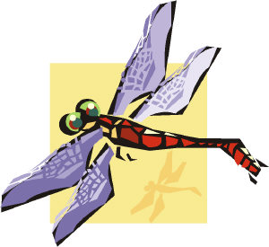 Brannen examines the fossil record�which is rife with creatures like dragonflies the size of sea gulls