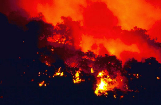 Rooted in biblical fantasies of great floods and great fires, neo-liberal policies possess a logic that leads ineluctably toward violence