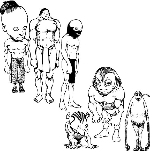 Ben Shapiro bears witness to the modern American campus freak show. You'll get up close and personal with the Marxist loons, moral relativists, multicultural zealots, and American-haters who are corrupting young minds