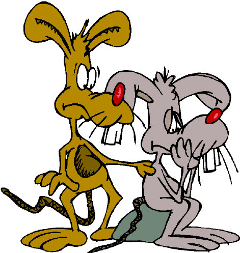 To foster good health, this rat has made the effort to socialize