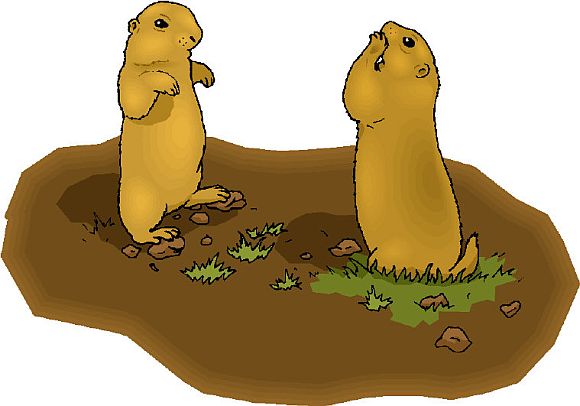 Donald Trump has labelled Sims' sensational tell-all book as 'boring,' saying he 'hardly knew' the former staffer who wrote it, labelling him 'nothing more than a gofer'; here Sims and another gopher do hip-hop dancing