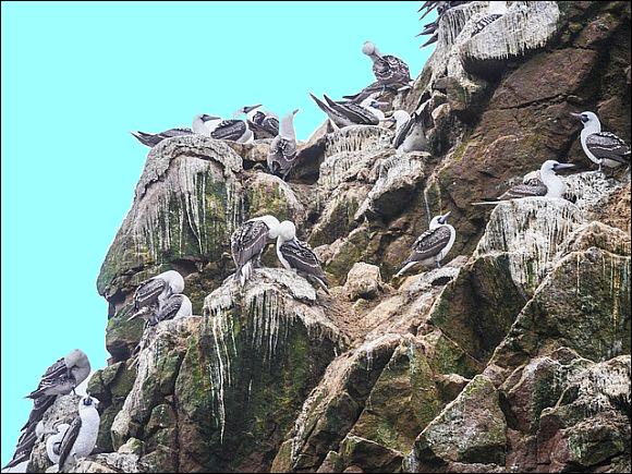 By the time the last claim was filed, in 1902, the United States� oceanic empire encompassed ninety-four guano islands which were stripped of their guano for use as fertilizer