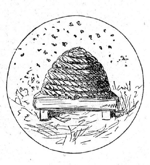 Bower looks at man in a rather bee-like context�what are our collective evolutionary possibilities?