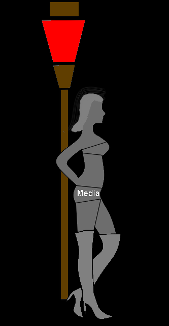 Our media whores sold out our democracy for the cheap sensationalism of hit pieces, smears, and hate speech