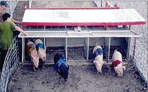 out of the starting gate