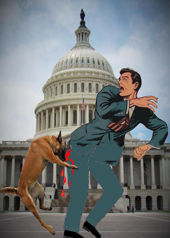 'Now that Attkisson is no longer on the CBS payroll, this pit bull is off the leash and tearing flesh off the behinds of senior media and government officials'