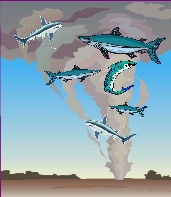 They're talking about this dumb story that President Trump wanted to nuke hurricanes. Which, by the way, I don't care whether it does anything, I just think it sounds cool. I mean, what if there are sharks in the hurricanes? What if it's a sharknado?