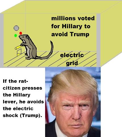 For millions, voting for Hillary was an avoidance vote, not an approach vote, as the behaviorists would say, making Trump the equivalent of an electric shock applied to a rat in a Skinner conditioning box