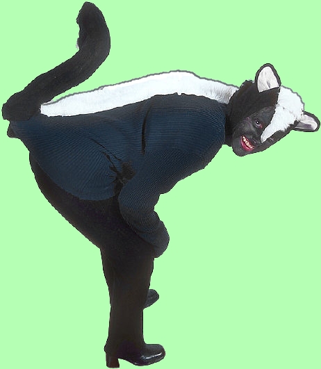 Meet the Press moderator Chuck Todd dissed Trump with 'On the one hand, he's a late-night joke; On the other, he's the proverbial skunk at the garden party'