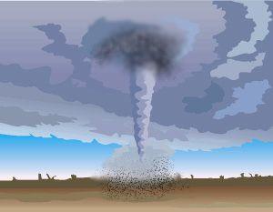 National Oceanic and Atmospheric Administration data offers evidence of a decline in tornadoes' strength since warming started�Dorothy and Toto are safe!