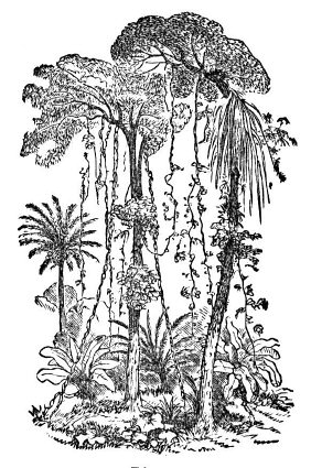 We all need to fight the environmental destruction and pollution and cultural decimation at the hands of the globalists