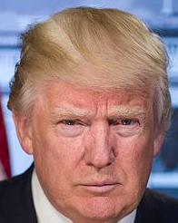 The desperate 99% frantically try to apply a 'shock to the system,' giving the establishment the finger the best way they know how: electing Trump president. Trump's values and policies are so similar to the AEI that one would think they wrote his playbook.