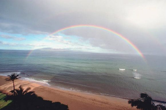 Wonderland awaits�if one follows through