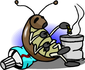 Cockroach relaxing, chuckling to itself about how dumb humans had been to wreck the Earth like they did