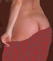 The very definition of how bureaucracy operates is CYA (cover your ass) by actually doing nothing to rock any boat